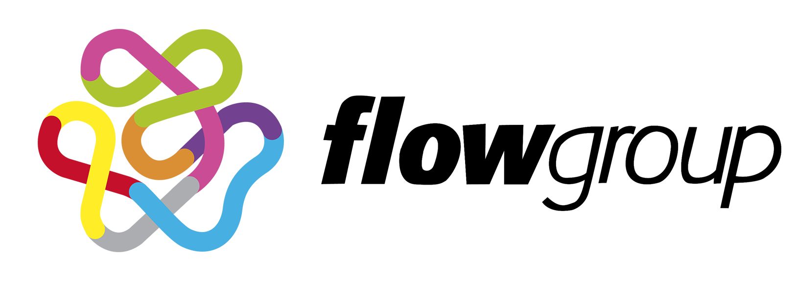 Logo Flow Group